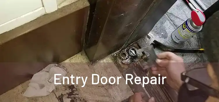 Entry Door Repair