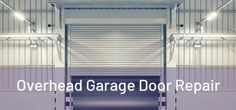  Overhead Garage Door Repair 